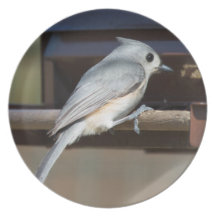 Plat de mésange tuftée assiettes