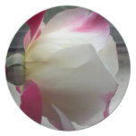 Plat de rose blanc assiette pour soirée