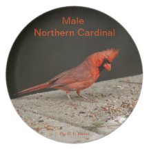 Plat dépeignant le cardinal du nord masculin assiette