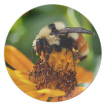 Plat doux de nectar assiettes