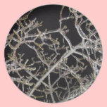 Plat glacial de déjeuner de branches assiettes