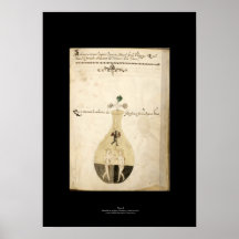Plat italien médiéval 2 d'affiche d'alchimie