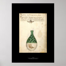 Plat italien médiéval 4 d'affiche d'alchimie