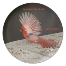 Plat montrant la danse cardinale masculine assiettes