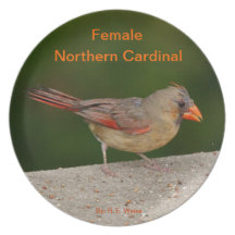 Plat montrant le cardinal du nord féminin assiette pour soirée
