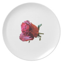 Plat rose assiettes