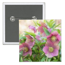 Pleine floraison - Hellebores ! Badge Avec Épingle