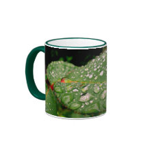 Pluie argentée tasses