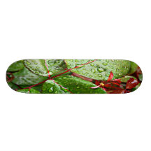 PLUIE DE LISTE PLATEAU DE PLANCHE À ROULETTES