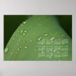 Pluie de matin ; Calendrier 2013 Affiches