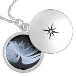 Plume blanche - angélique par nature pendentifs
