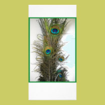 Plume-Carte de paon photocartes