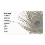 Plume de paon carte de visite
