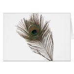 Plume de paon carte de vœux