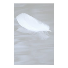 plume motifs pour papier à lettre