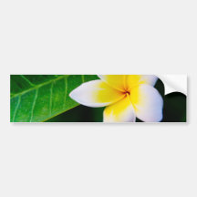 Plumeria Adhésif Pour Voiture