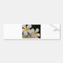 Plumeria Adhésifs Pour Voiture