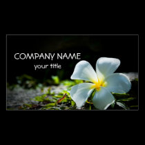 Plumeria blanc cartes de visite