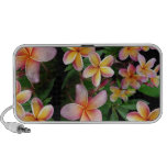 Plumeria Haut-parleurs De Voyage