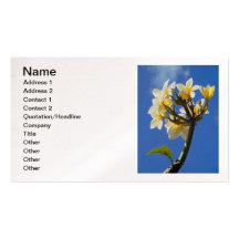 Plumeria hawaïen carte de visite