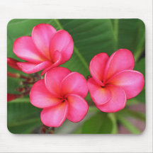 Plumeria - Miami s'est levé sur le mousepad Tapis De Souris