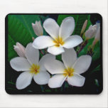 Plumeria Mousepad de clair de lune Tapis De Souris