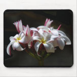 Plumeria Mousepad Tapis De Souris
