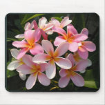 Plumerias en fleur tapis de souris