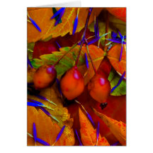 Plumes d'aster - customisées carte