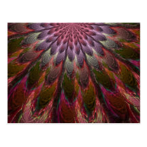 Plumes de paon cartes postales