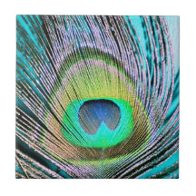Plumes de paon sur la turquoise carreau