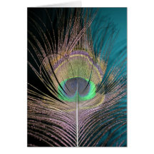 Plumes de paon sur le noir et la turquoise carte de vœux