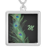 Plumes vertes avec le collier noir