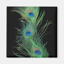 Plumes vertes avec le noir magnets pour réfrigérateur