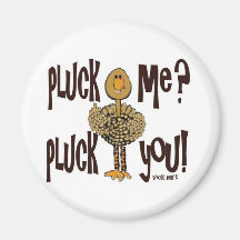 Plumeur de la Turquie Magnets Pour Réfrigérateur