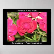 POÉSIE DANS LES ROSES AFFICHE