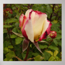 Poésie florale affiche