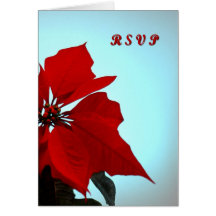 Poinsettia Carte De Vœux