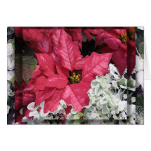 Poinsettia Cartes