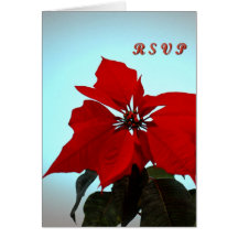 Poinsettia Cartes De Vœux