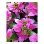 Poinsettia Cartons D'invitation