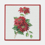 Poinsettia de Noël Magnets