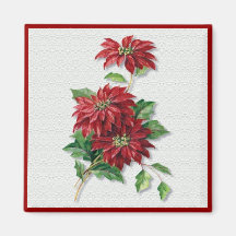 Poinsettia de Noël Magnets