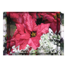 Poinsettia Faire-parts