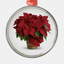Poinsettias pour l'ornement de Noël