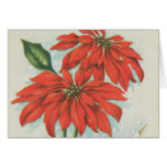 Poinsettias rouges vintages de Noël Cartes De Vœux