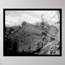 Point 1922 du mont Rainier Rickseekers Affiche