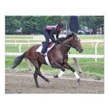 "Point cheval de gazon de champion d'entrée" Impression Photographique