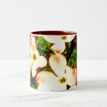 Point culminant tasse