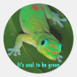 Point de vue de Gecko - il fait frais pour être ve Autocollants